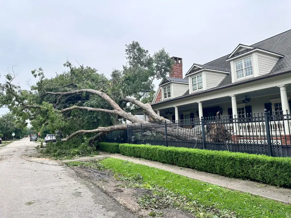 Fallen tree near a house